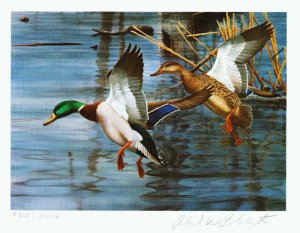 1983 NORTH CAROLINA 1st. of STATE WATERFOWL PRINT w/  MINT STAMP - VF