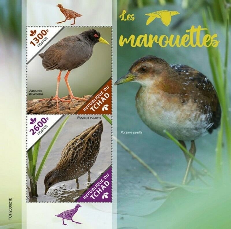 Chad - 2020 Black & Spotted Crakes - 2 Stamp Souvenir Sheet - TCH200621b 