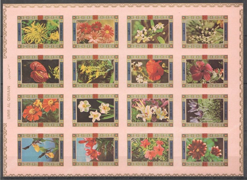 O0717 Imperf Umm-Al-Qiwain Flora Flowers Orchids Sh Mnh