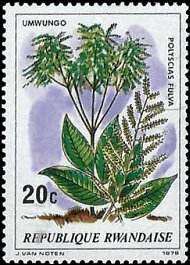 RWANDA   #915 MNH (1)