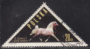 Poland 1188 Arab Stallion Comet 1963