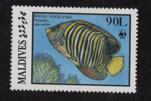 Maldive Islands   #1186  MNH  1981  Marine life  90 l regal angelfish