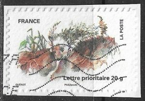 France ~ Scott # 3964 ~ Used on paper ~ Hedgehog and Plants