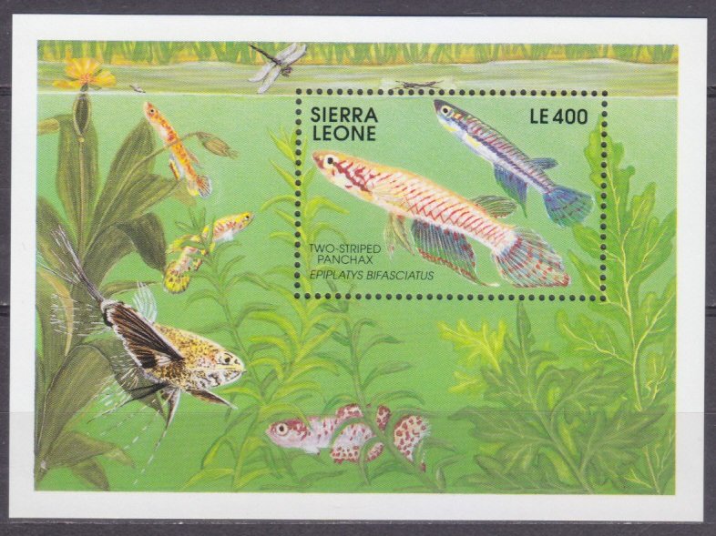 1991 Sierra Leone 1639/B165 Marine fauna 8,00 €