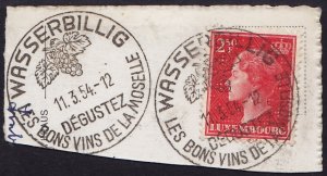 Luxembourg - 1951 - Scott #269 - used on piece - WASSERBILLIG fancy pmk