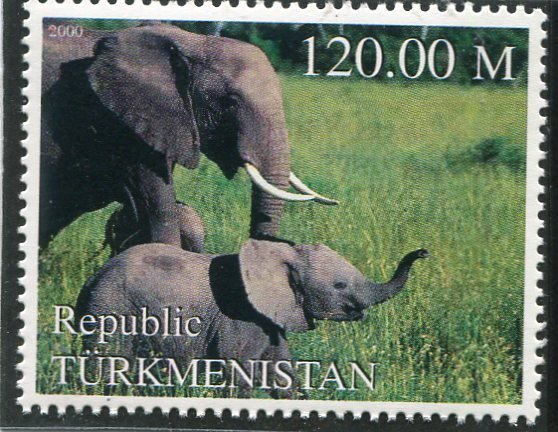 Turkmenistan 2000 ELEPHANTS 1 value Perforated Mint (NH)