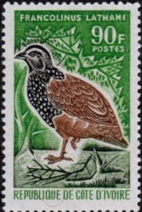 Ivory Coast 239 - Mint-H - 90fr Forest Francolin (1966) (cv $7.25)