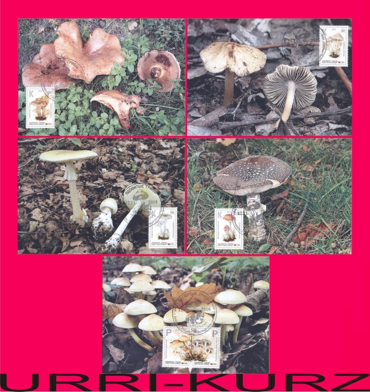 TRANSNISTRIA 2016 Nature Flora Poisonous Mushrooms Fungi 5 MaxiCard Maximum Card