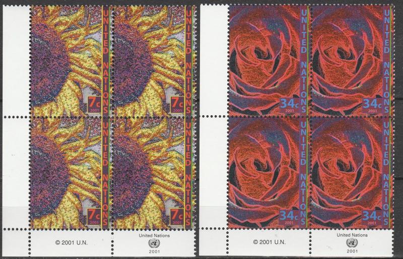 United Nations #803-4 MNH Inscription Blocks  CV $3.50  (A6981)