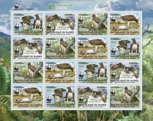 Guinea - 2021 WWF 60th Anniversary, Birds - 16 Stamp Sheet - GU210259e2