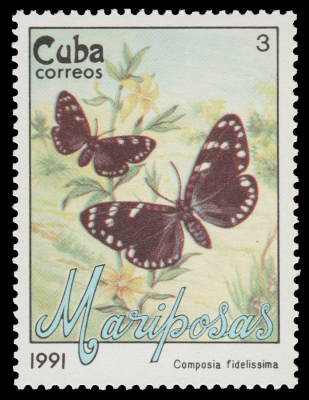 LATIN AMERICA 1991. SCOTT # 3288. UNUSED.  BUTTERFLIES