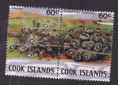 Cook Is. -Sc#578- id9-unused NH 1/2 block-Marine Life-Coral-1980-2-