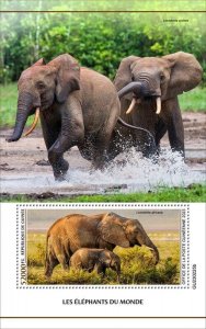 Guinea - 2023 Elephants of the World - Stamp Souvenir Sheet - GU230205b