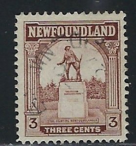 Newfoundland 133 Used 1923 issue (fe2881)