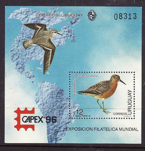 Uruguay-Sc#1615-unused NH sheet-Birds-Maps-Capex 1996-