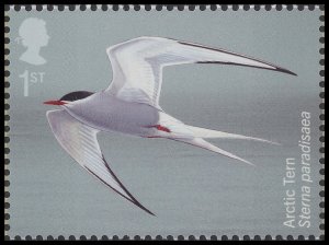 GB 4657 Migratory Birds Arctic Tern 1st single MNH 2022