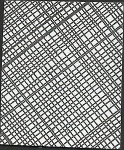 # 5676 Used Mountain Flora