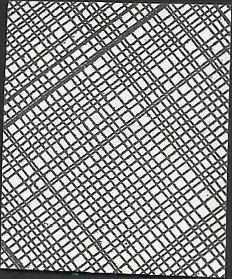 # 5676 Used Mountain Flora