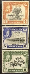 Pakistan Bahawalpur 22-24 MH