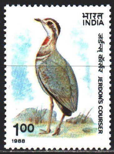 India. 1988. 1183. Birds, fauna. MNH.