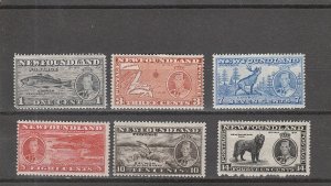 Newfoundland  Scott#  233-243  MH  (1937 Various Designs)