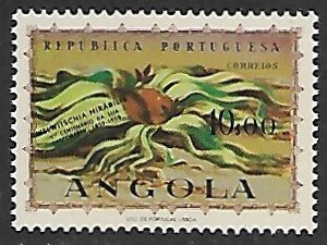 Angola # 416 - Welwitschia - MNH.....{Dgr2}
