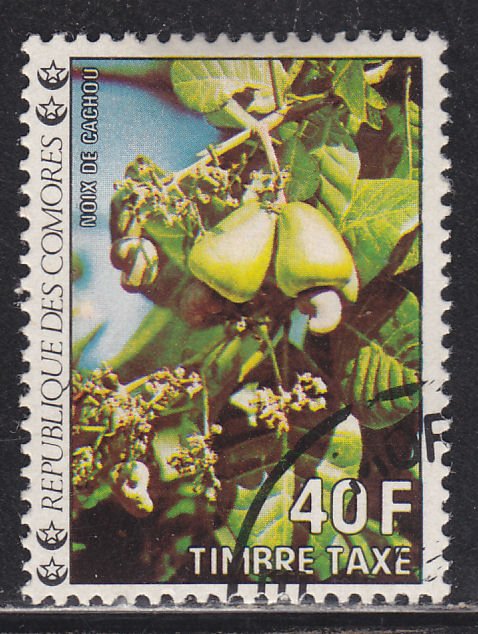 Comoro Islands J13 Flowers 1977