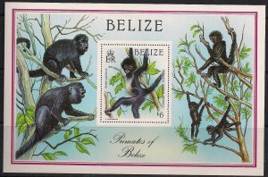 Belize Stamp 872  - Primates