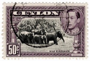 (I.B) Ceylon Postal : Wild Elephants 50c (SG 394)