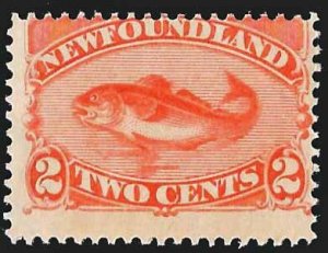 Newfoundland SC 48 * Cod Fish * MLH * 1887