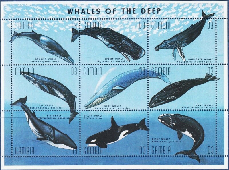 Gambia MNH S/S Whales Of The Deep 1995