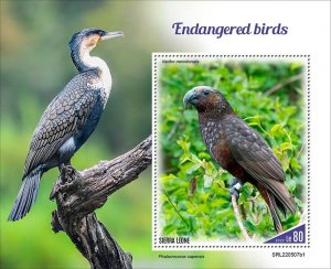 SIERRA LEONE - 2022 - Endangered Birds - Perf Souv Sheet #1 - Mint Never Hinged