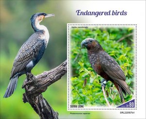 2022 10-SIERRA LEONE - ENDANGERED BIRDS I      1V  complet set    MNH ** T