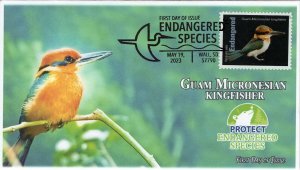 23-131, 2023, Endangered Species, First Day Cover, Pictorial Postmark, Wall SD,