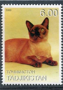 Tajikistan 2000 DOMESTIC CAT 1 value Perforated Mint (NH)