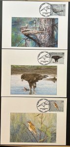 Latvia Lettland Lettonie 1997 Birds set of 3 maxicards