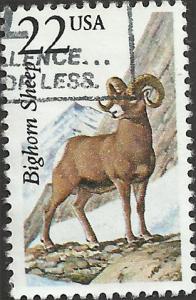 # 2288 USED BIGHORN SHEEP