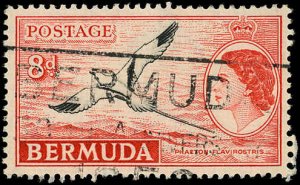 BERMUDA Sc 153 VF/USED - 1955 8p Yellow-billed tropic bird & QEII