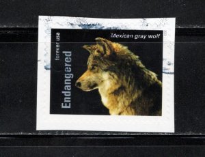 United States 2023 Sc#5799o Mexican Grey Wolf (Canis lupus baileyi) Used