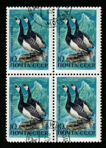 White-breasted goose, Block, 10 kop, 1972 (T-6767)