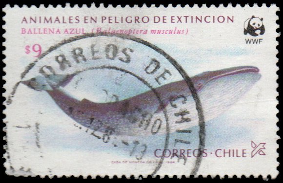 Chile 680 - Used - 9p Blue Whale (WWF) (1985) (cv $2.50)