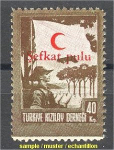 Turkey BOY SCOUT topic stamp from 1949, very hard to find!