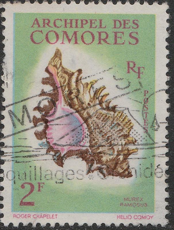 COMORES - 1962 - Yv.21/Mi.46 2fr Murex Ramosus - Obl. TB