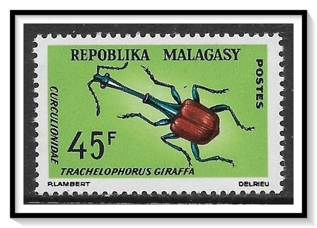 Madagascar #384 Weevil MNH