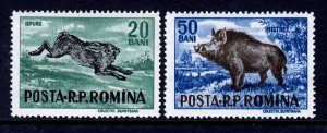 Romania 1956 Hare - Boar Mint MNH SC 1082,1085 SG 2423,2425 CV £6