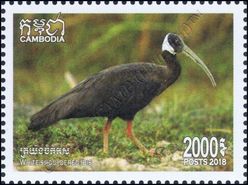 Birds (IX) (MNH)