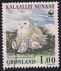 Greenland 344 Used - Owls