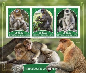 St Thomas - 2021 Old World Monkeys, Mandrill - 3 Stamp Sheet - ST210513a