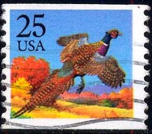 Bird, Pheasants, USA stamp SC#2283 Used