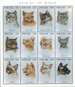 Sierra Leone 1996 - Cats of the World - Sheet of 12v - Scott 1892 - MNH